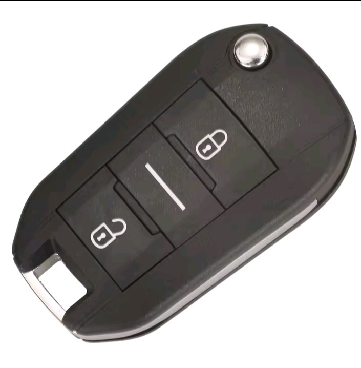 jingyuqin flip Remote Smart Car key